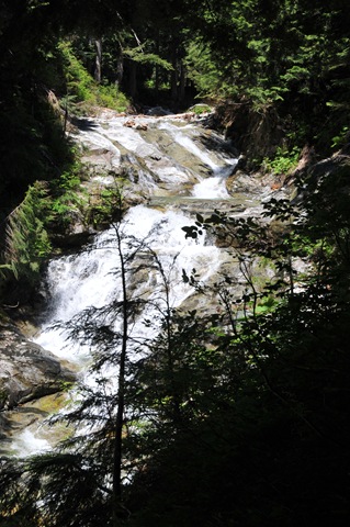 [DSC_7395[4].jpg]