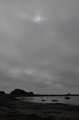 DSC_8015