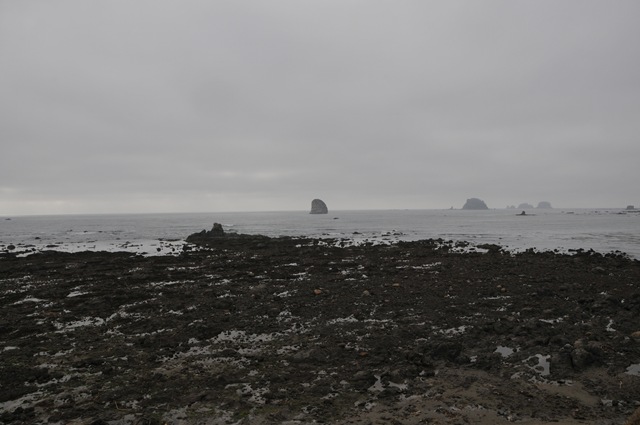 [DSC_8056[1].jpg]