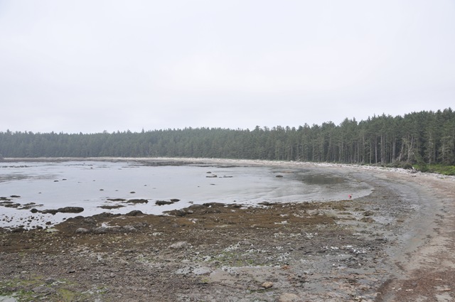 [DSC_8058[1].jpg]