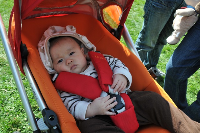 [DSC_9037[1].jpg]