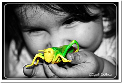 somebug somebug