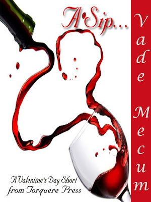 Vade Mecum Cover