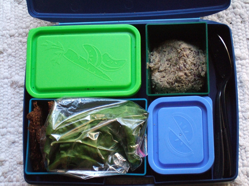 [Conservation Burger lunchbox 010[4].jpg]