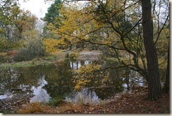 Mare aux fées (2) Mare aux fées (2)