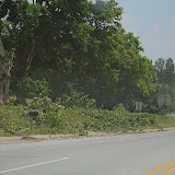June 24, 2010 Storm -- Aftermath June 24, 2010 Storm -- Aftermath
