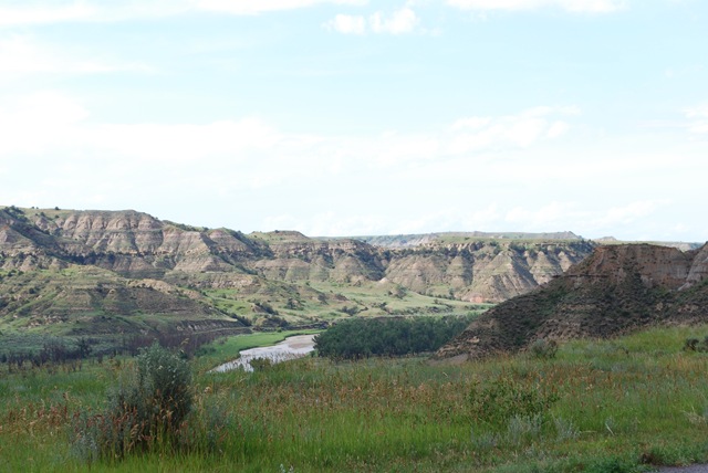 [DSC_1836[2].jpg]