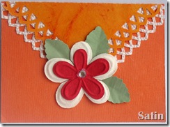 IMG_4230 IMG_4230