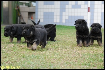 [DSC_0055BLOG[5].jpg]