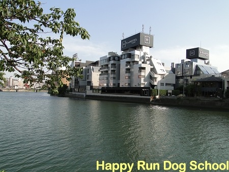 [DSC014344.jpg]
