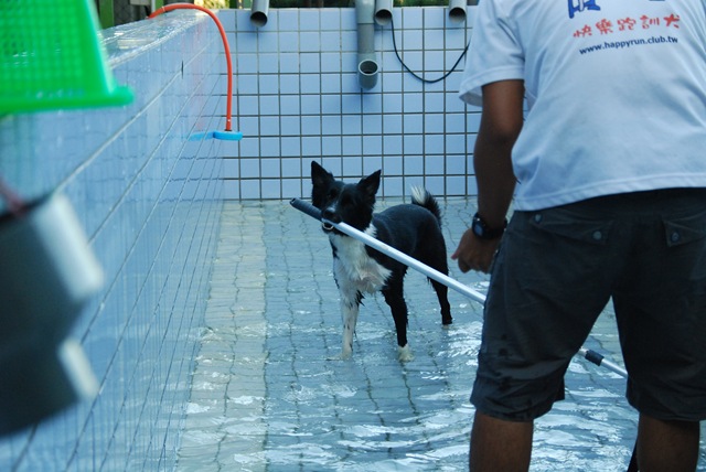 [DSC_0002[5].jpg]