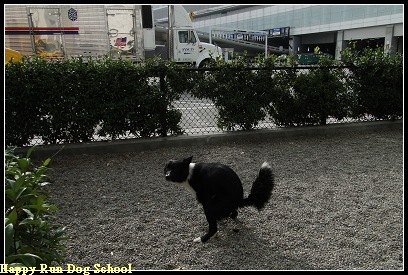 [DSC00488[4].jpg]