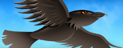 Aviary Raven