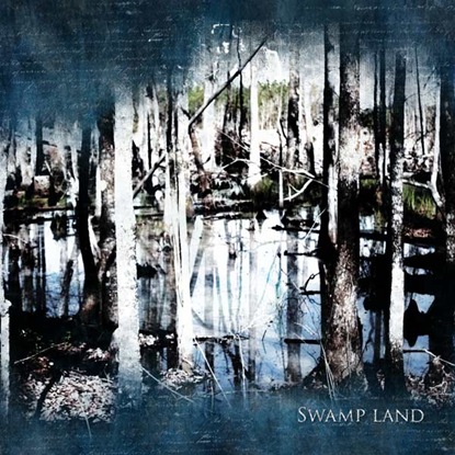 Swampland