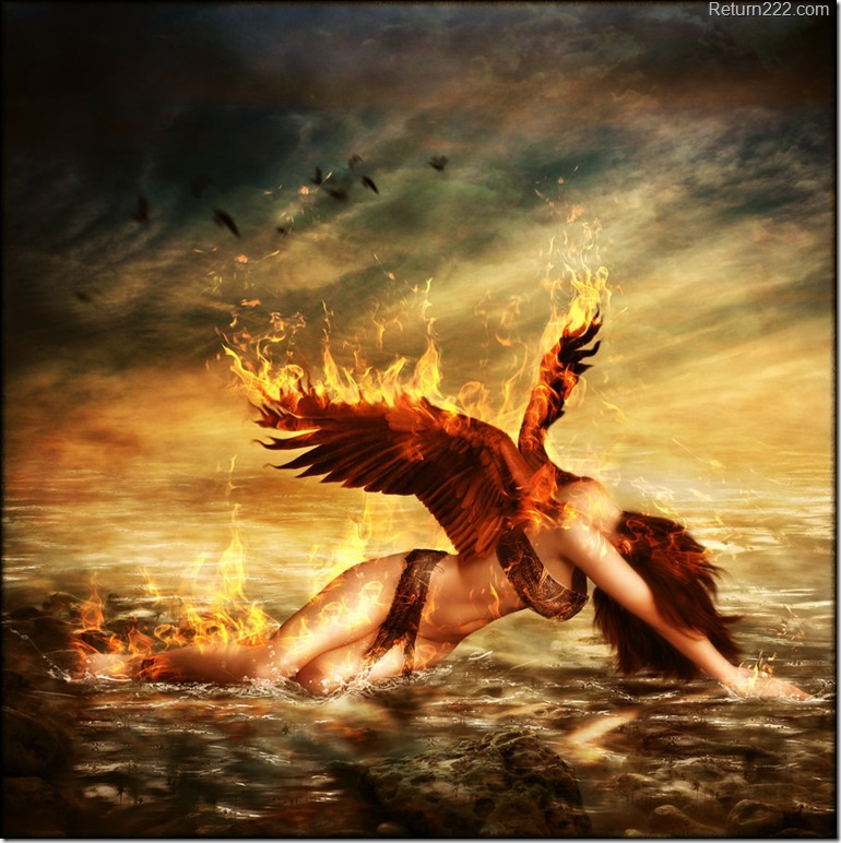 phoenix_by_brandrificus-d3a8eeq phoenix_by_brandrificus-d3a8eeq