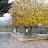 Pomares - Outono