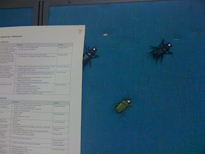Buggy Wall
