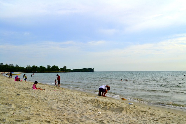 [DSC_0815[3].jpg]