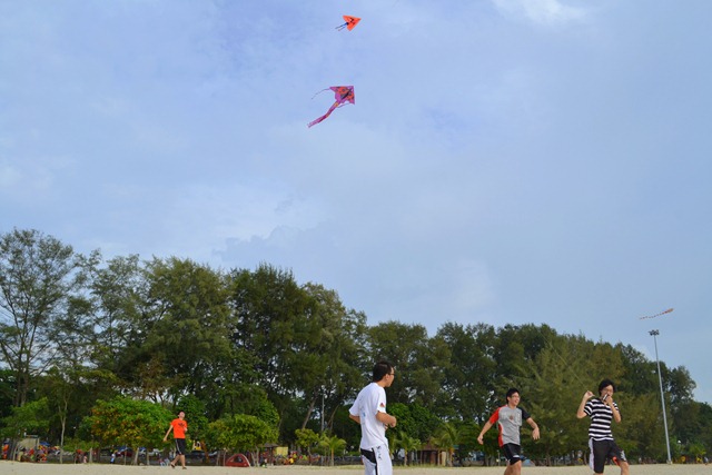 [DSC_0833[3].jpg]