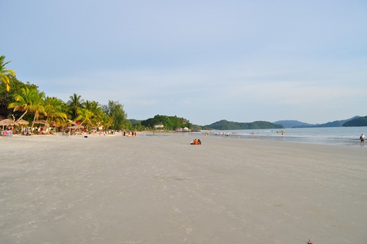 [DSC_13583.jpg]