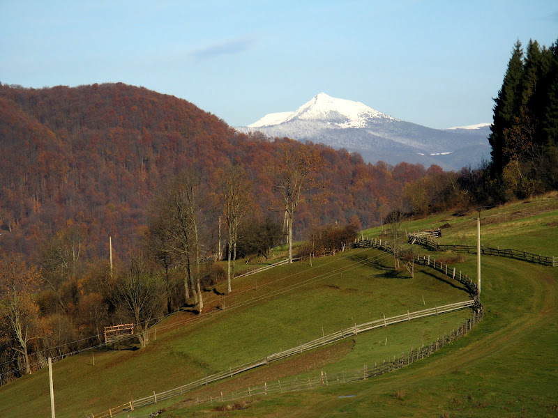 Obrazek