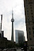 CN Tower i baggrunden
