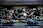 The famous monkeys of