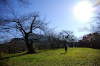 A very rare grassy hill, found in Chichibu