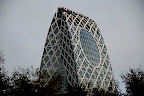 Cocoon Tower rises from a forest!