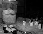 Perhaps a brain of a sub-human still floats un-decaying