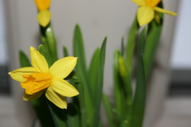 [March120080108.jpg]