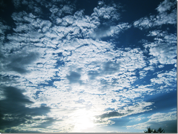 skys the limit