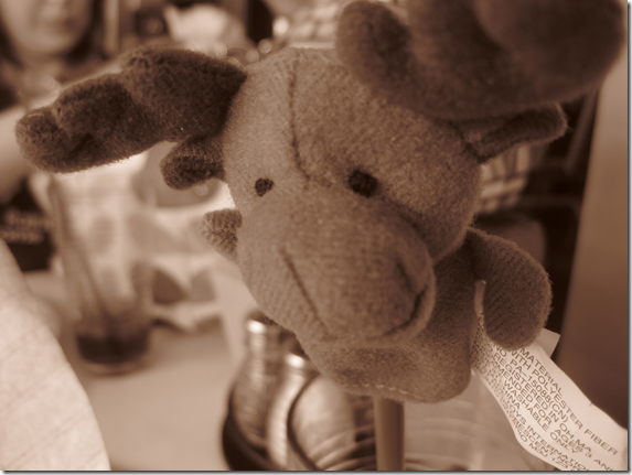 bloggy-bootcamp-mascot-winifred-lexus-road-trip