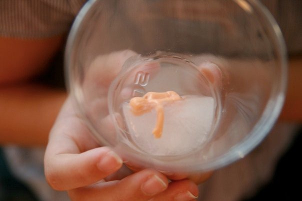 [baby-cubes[3].jpg]