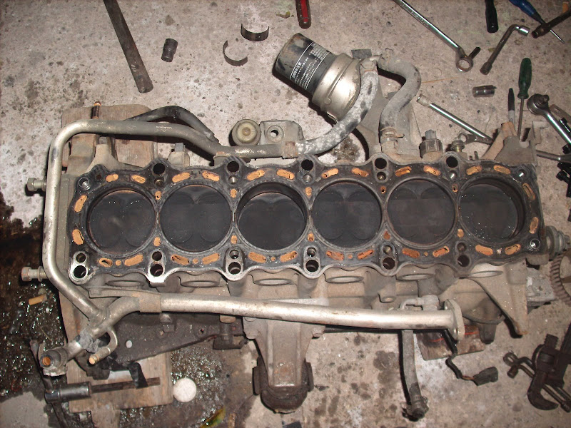 GEDC1390.JPG