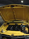[Afbeelding: DSC06105.JPG]