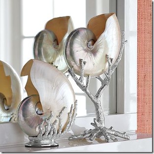 silver- shells on silver stands