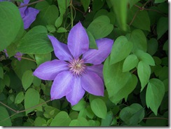 DSCN0657