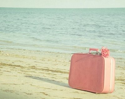 [daisy pink cupcake pink suitcase[3].jpg]