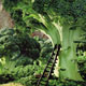 Foodscapes by Carl Warner