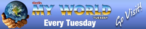 [myworldbanner[2].jpg]