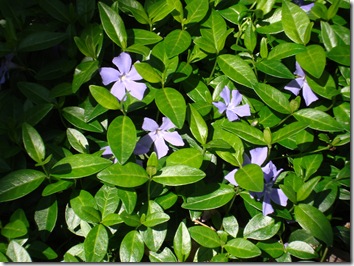 DSC00576