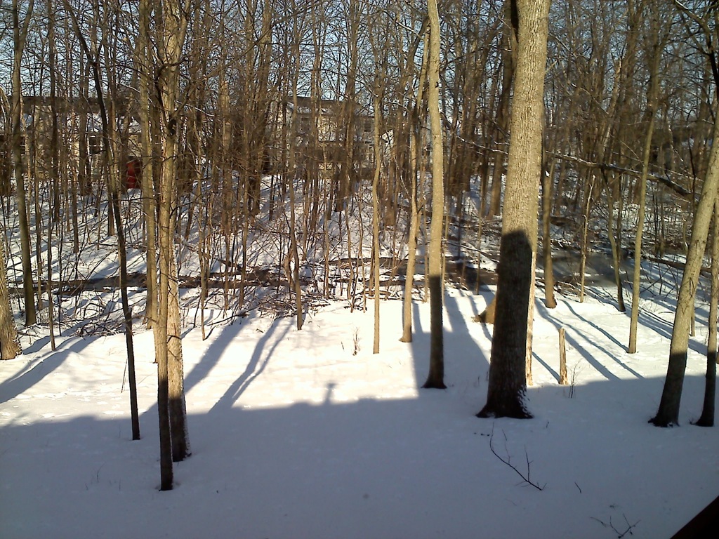 [20110307092636[3].jpg]