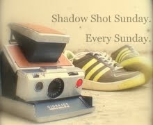 [Shadow Shot Sunday[3].jpg]