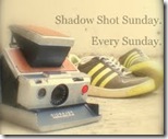 Shadow Shot Sunday