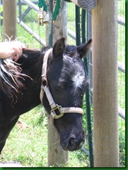 IMG_3063 IMG_3063