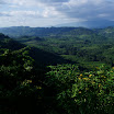 P1010111.JPG