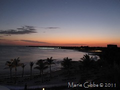IMG_1440 IMG_1440