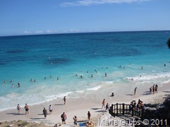IMG_1517 IMG_1517