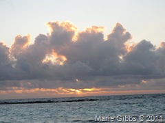 IMG_1524 IMG_1524